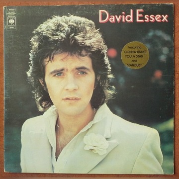 LP DAVID ESSEX Gonna Make You A Star 1974 Stardust
