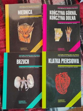 Anatomia Prawidłowa Człowieka Jerzy Walocha