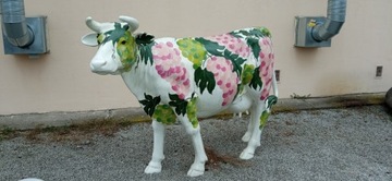 Krowa naturalnych wymiarów laminat różne kolory