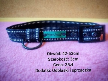 Obroża odblaskowa