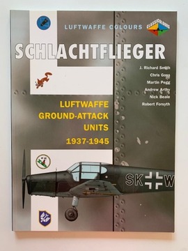 Schlachtflieger (Luftwaffe Colours)