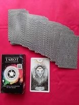 Tarot the wild unknown