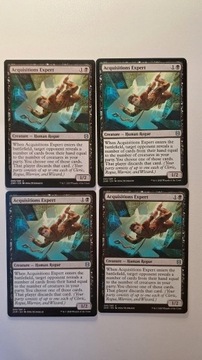 Acquisitions Expert - PLAYSET