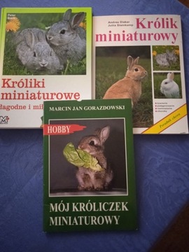 Książki  Królik miniaturka - 3 sztuki