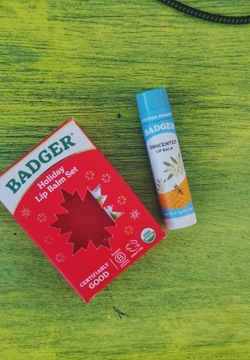 Badger Company Classic Lip Balm - Unscented