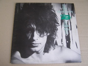 Waterboys A pagan place NM UK 1983