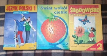 Język Polski, środowisko ćwiczenia szkoła podstaw.