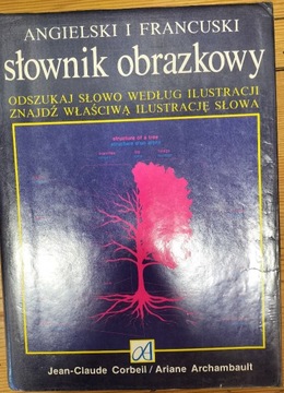 Angielski i francuski słownik obrazkowy