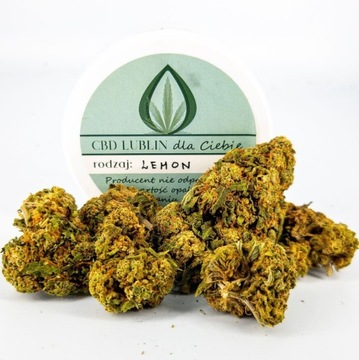 Lemon Haze Susz CBD premium 100 gram 