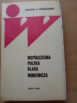Współczesna polska klasa robotnicza.