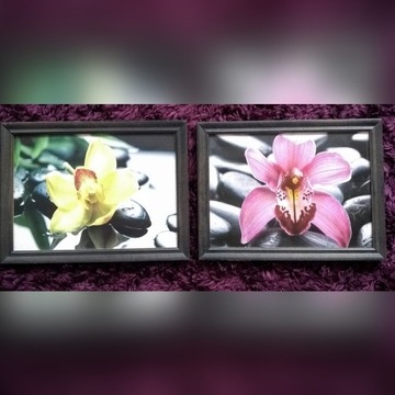 Obrazki z orchideą 2 szt.