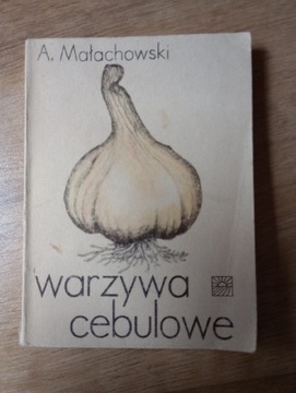 Warzywa cebulowe Małachowski 