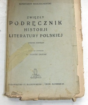 Podręcznik historii literatury polskiej 1917