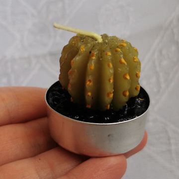 Ozdobna świeczka Teelight zielony khaki kaktus