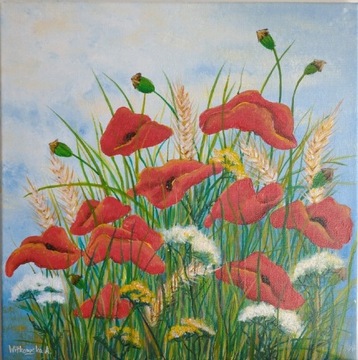 Obraz akrylowy pt "Kwiaty polne" 40x40 cm 