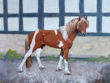 Obraz koń islandzki ręcznie malowany2