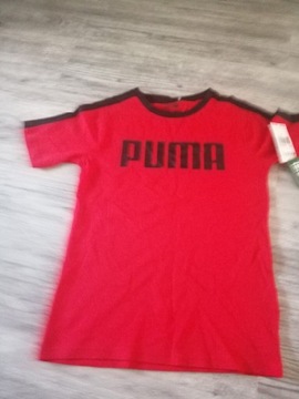 T-shirt 10/12lat puma