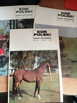 Koń Polski . Hodowla, sport, export. Rocznik 1981