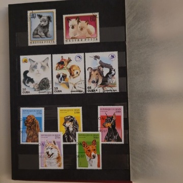 Psy i koty na znaczkach pocztowych 