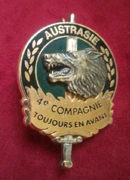 Odznaka francja 