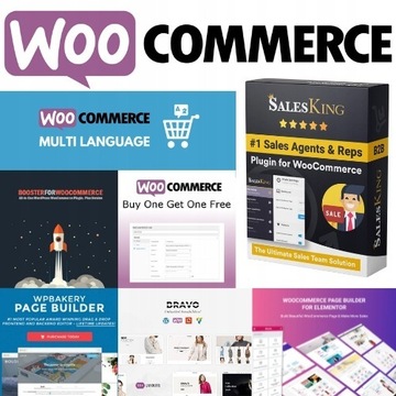 Elementor Wtyczka Wordpress + Dodatki Woocommerce