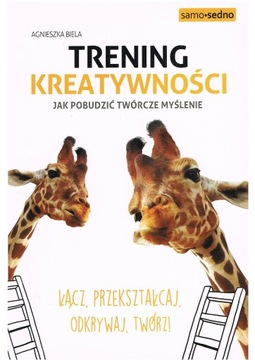 Agnieszka Biela - Trening kreatywności