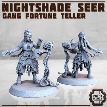 Nightshade Seer - Print Minis - Druk 3D