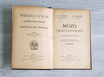 Mózg i jego czynności - Dr. Toulouse, Dr. Marchand