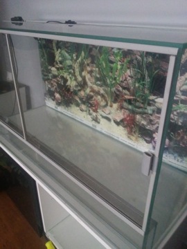 Terrarium dla gadów 100x50x40