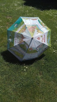 Parasolka z jeziorem Bodeńskim
