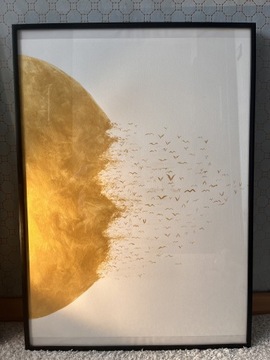 Nowoczesny obraz na papierze Słońce ptaki 