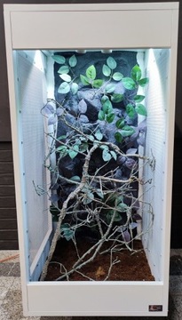 Terrarium dla kameleona 50x50x100