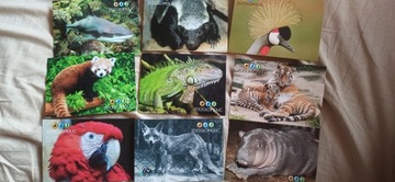 pocztówki Zoo Olomouc