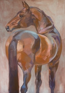 Rudy - koń, konie, portret