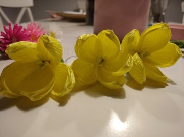 Kwiaty z bibuły słoneczny żółty