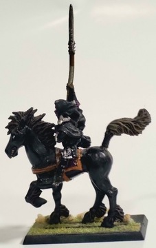 Warhammer Dark Elves - Dark Raider 03