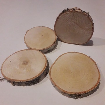 Plastry drewna, 9, 10, 11, 12, 13 cm, brzoza