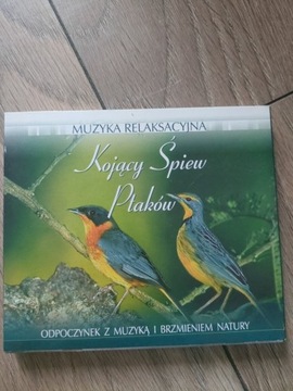 Płyta dvd śpiewem ptaków 