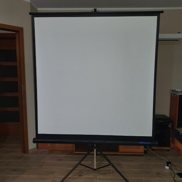 ekran do projektora