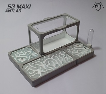 Formikarium Maxi - Terrarium Dla Mrówek 210x140