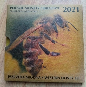 Blister - Polskie Monety obiegowe 2021 Pszczoła Miodna