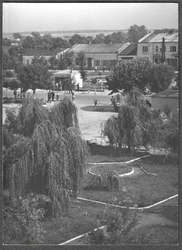 Janów Lub. Fragment Rynku.