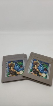 Fortress of Fear gra Nintendo Game Boy GameBoy