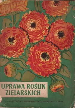 Uprawa roślin zielarskich