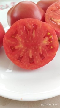 Pomidor Honey Lily 10 szt