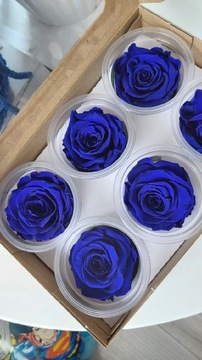 Chabrowe niebieskie róże wieczne główki 4×6 sztuk