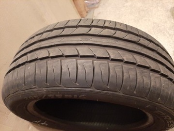 Opony letnie Dębica Presto 205/55 R16