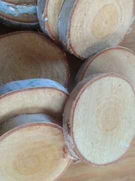Plastry drewna brzozowego krążki szlif śr ok 13 cm