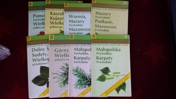 mapy krajoznawcze szt 8