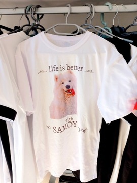 Koszulka t-shirt Samoyed pies rozmiar L damska męska oversize dog owczarek